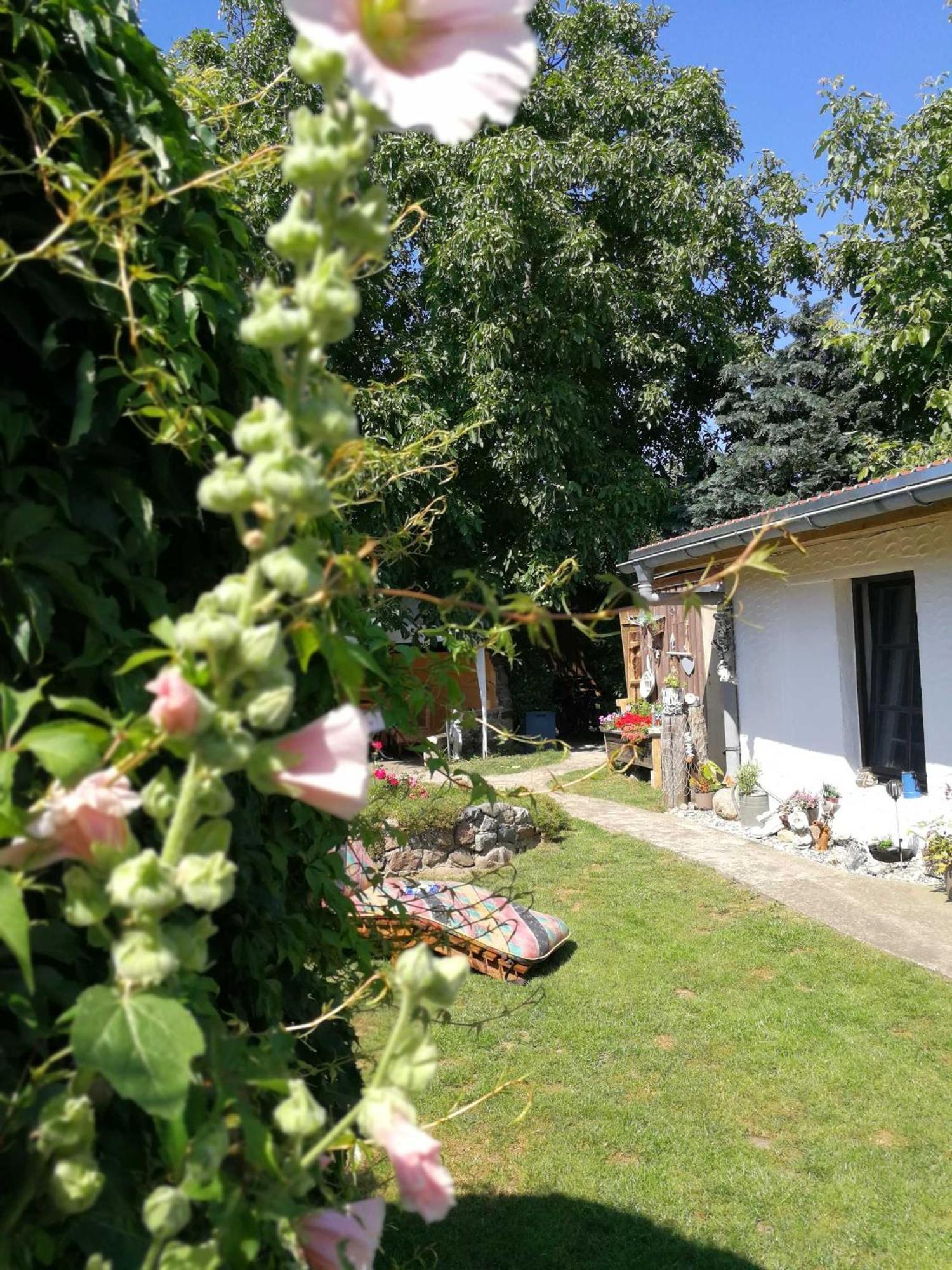 Bungalow Bei Warnemuende Elmenhorst/Lichtenhagen Buitenkant foto
